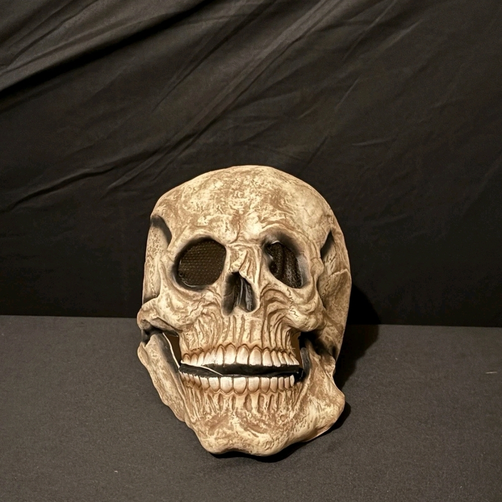 Realistic Skull Mask